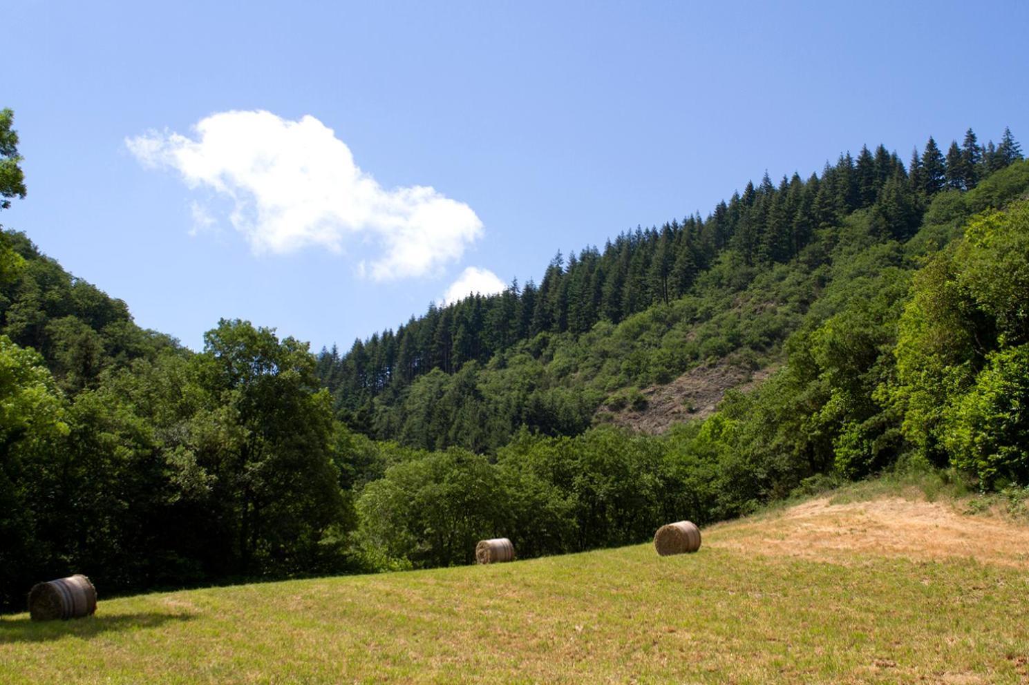 De Lascours, D'etape Pleine Nature. Ferienhaus